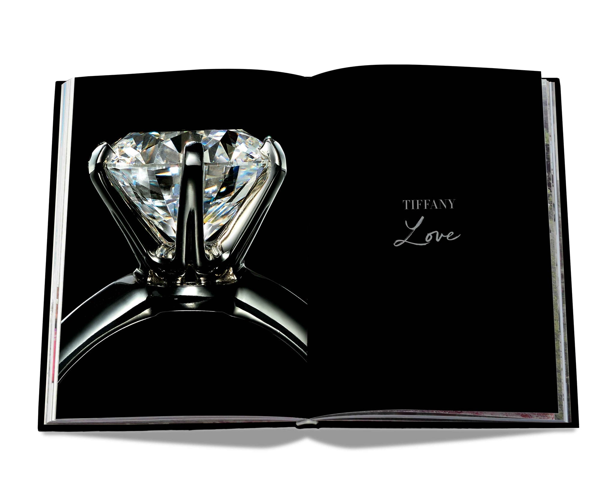 Tiffany & Co Vision & Virtuosity Luxury Coffee Table Book